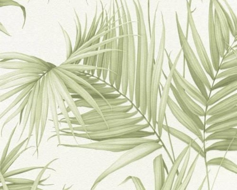 Cary D cover image