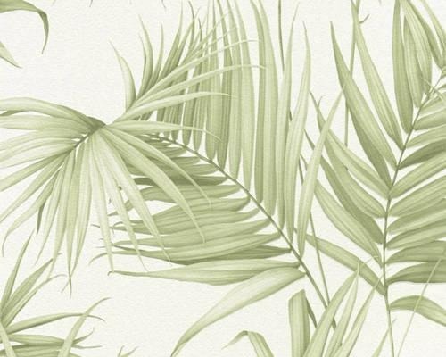 Cary D banner image