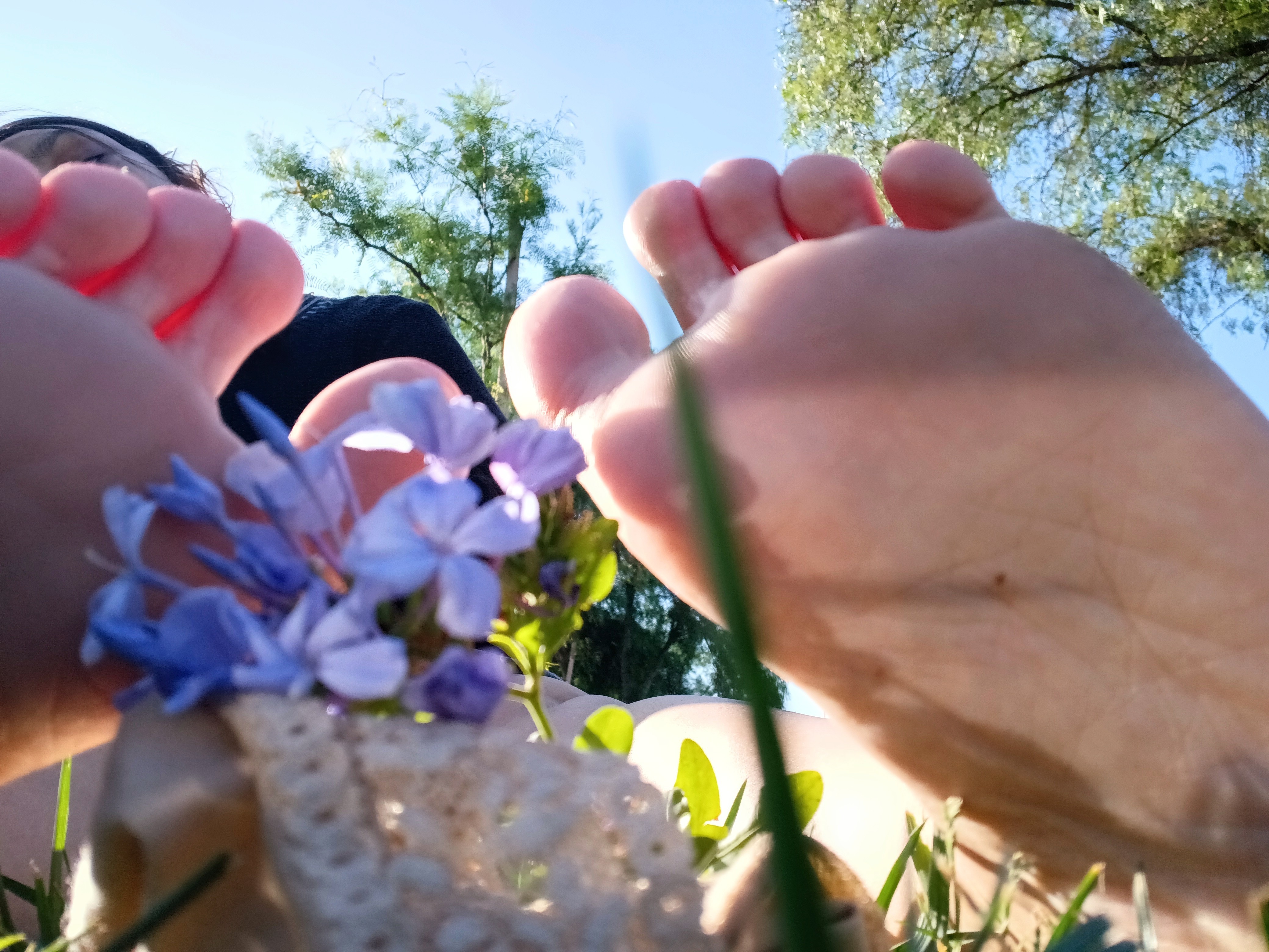 casslilith1 banner image