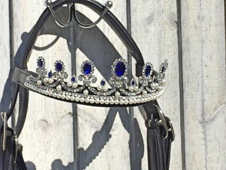 Casanova Kate banner image