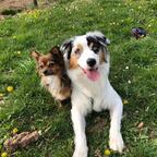 Casey and Luna avatar