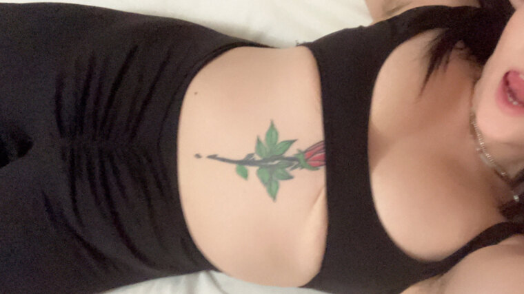 Casey Daisy banner image