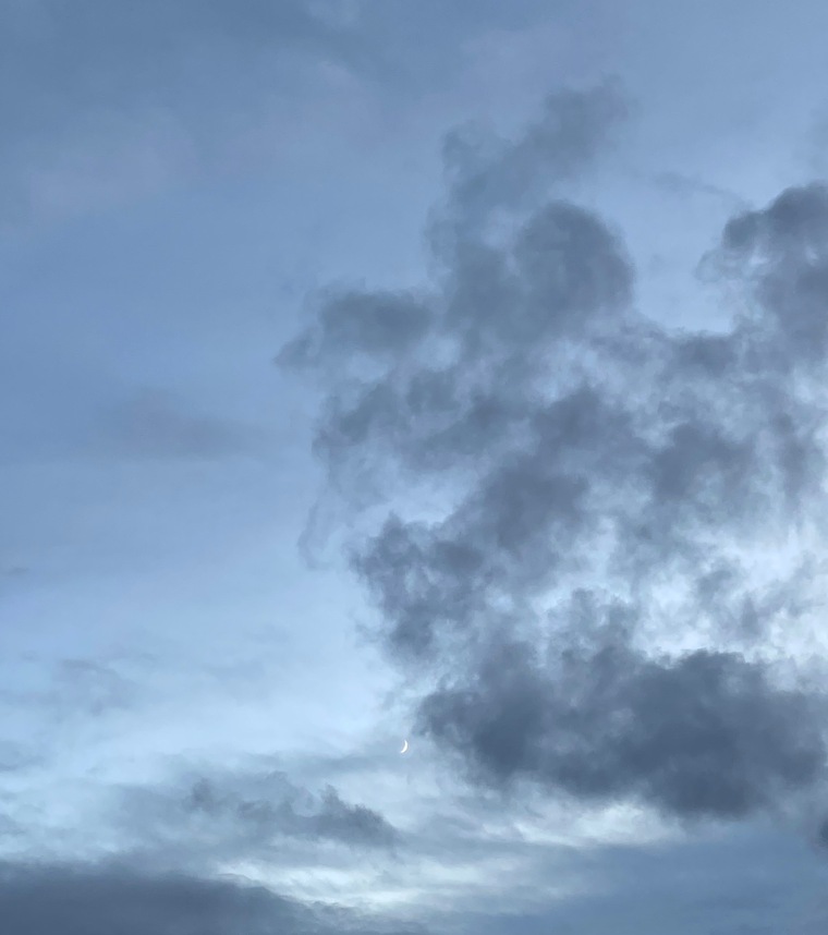 Cassandra🍑 banner image