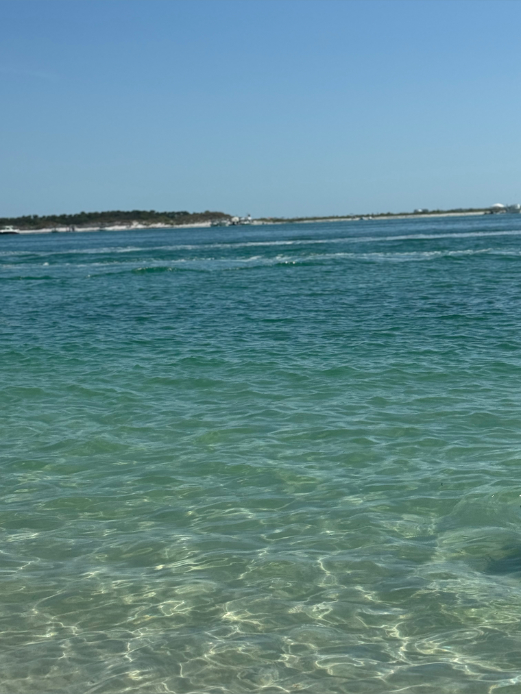 Cassandra Chesley banner image
