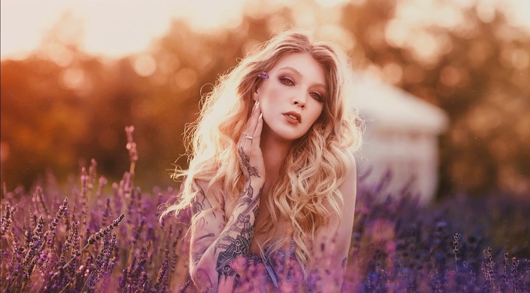 Cassidoria banner image