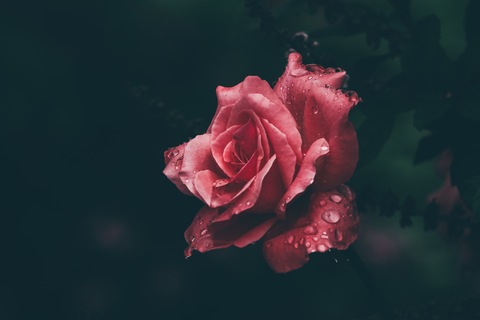 Marina cover image