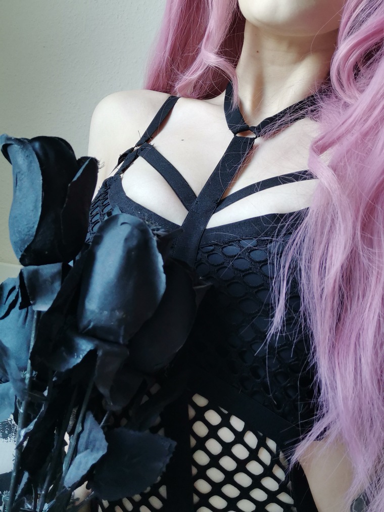 catakanekochan banner image