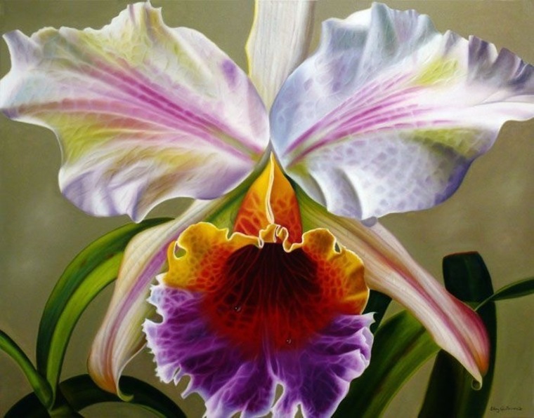 Cataleya cover image