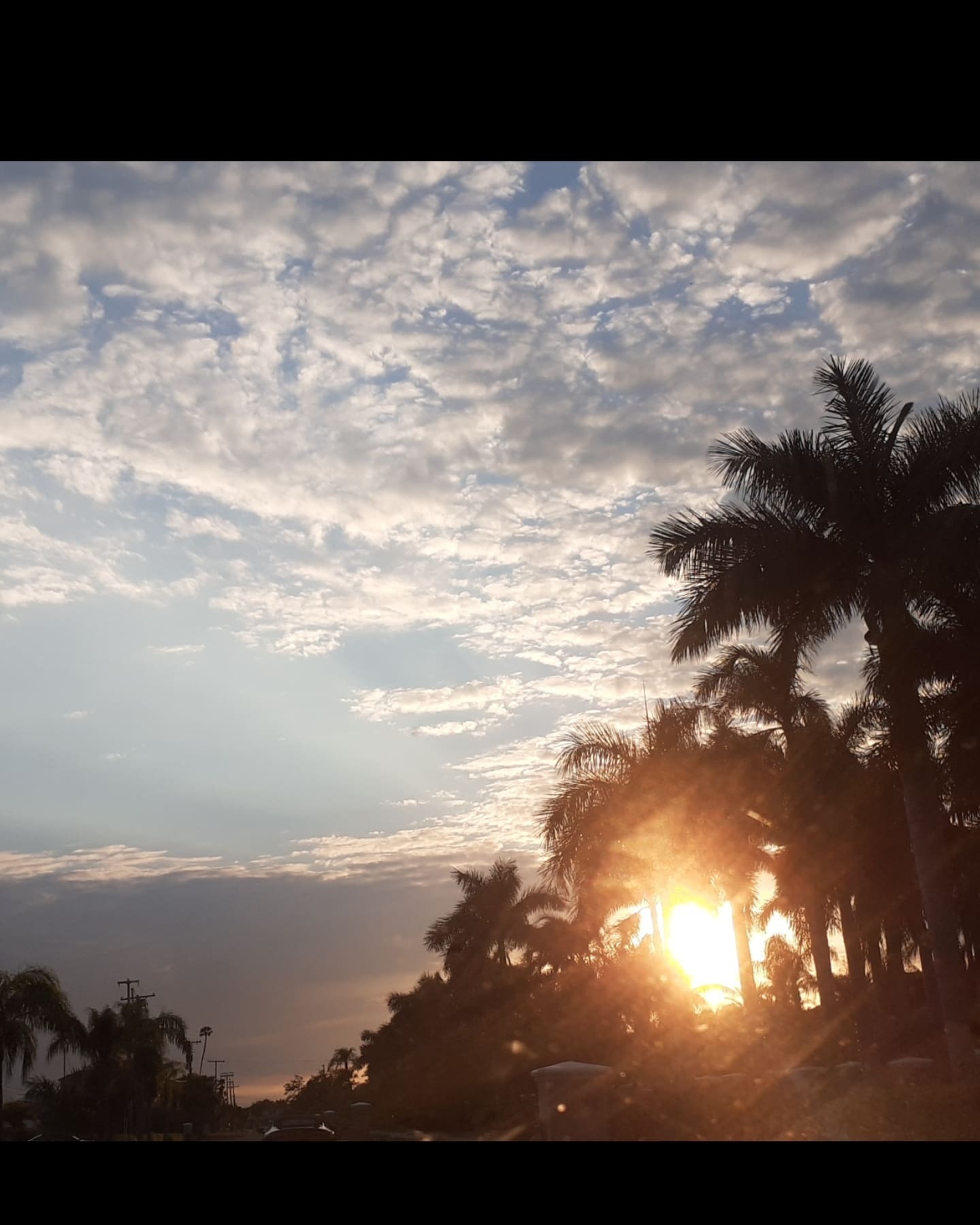 CatalinaCarolina22 banner image