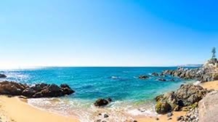 Catalina munch banner image