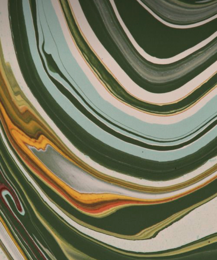 Catherina cover image