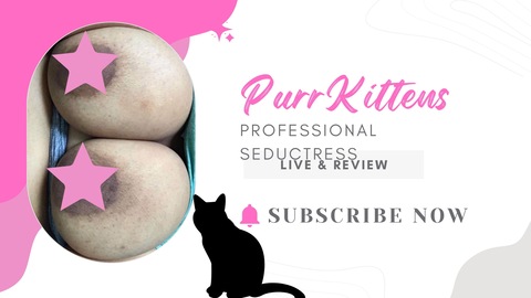 😻 Purr Ghetto Kitten cover image