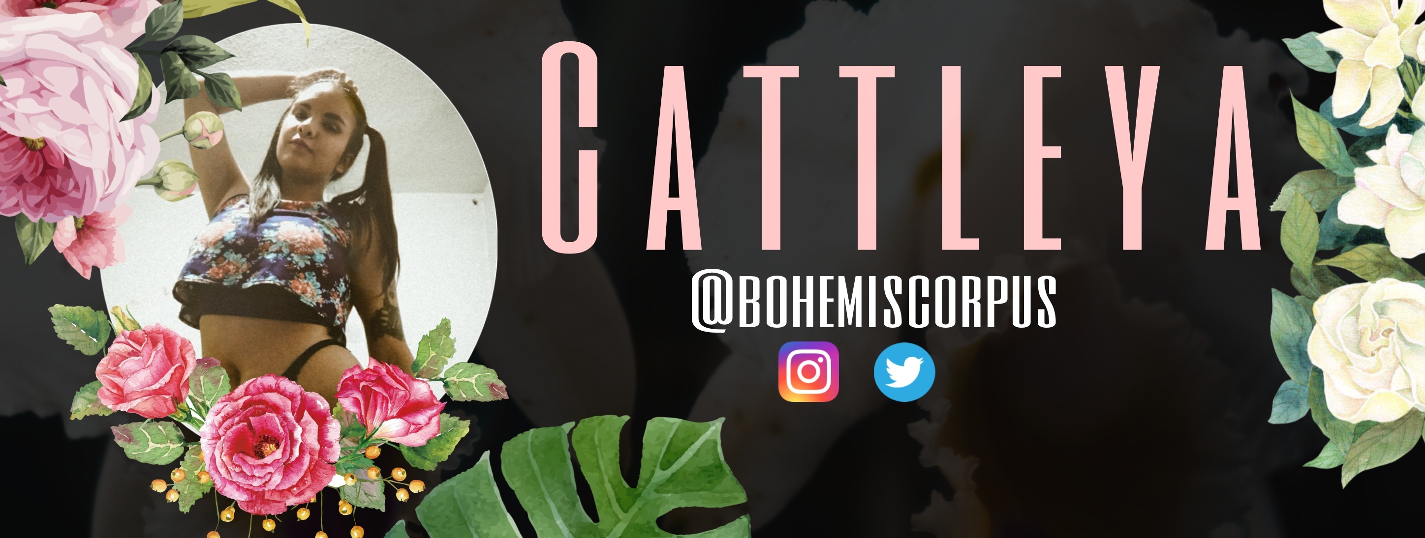 Cattleya L. banner image