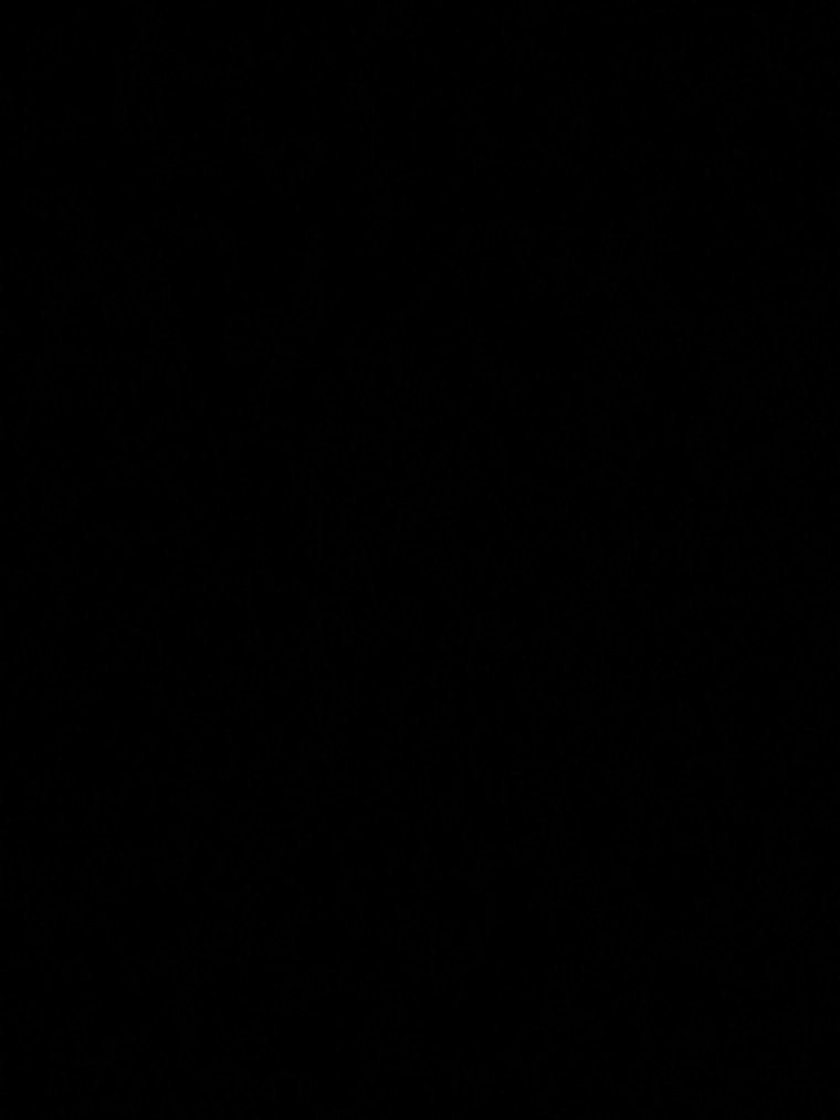 catskinksnylonsman banner image