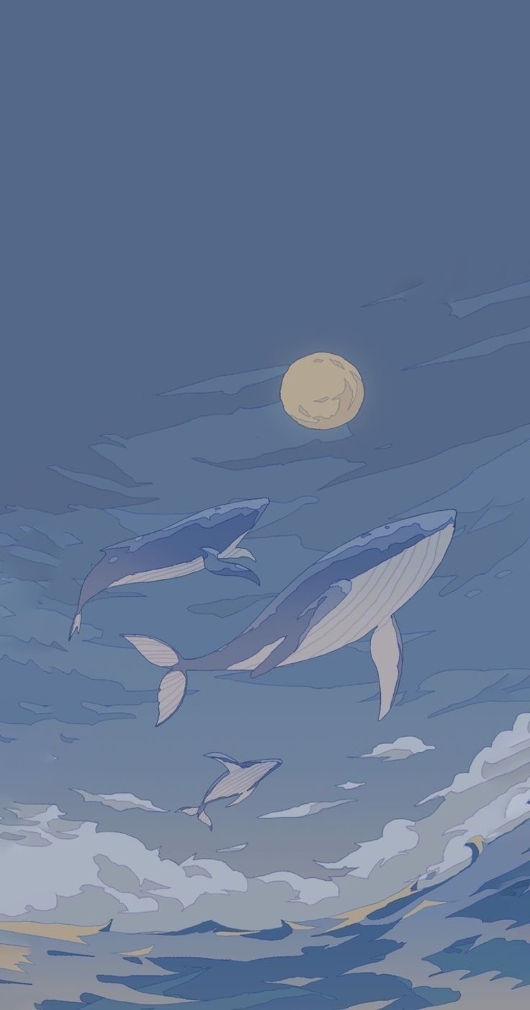 Cätt🐈⬛ banner image
