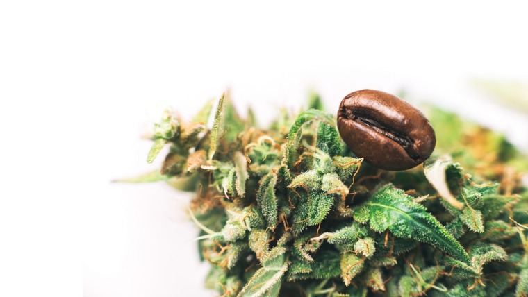 CB420 cover image