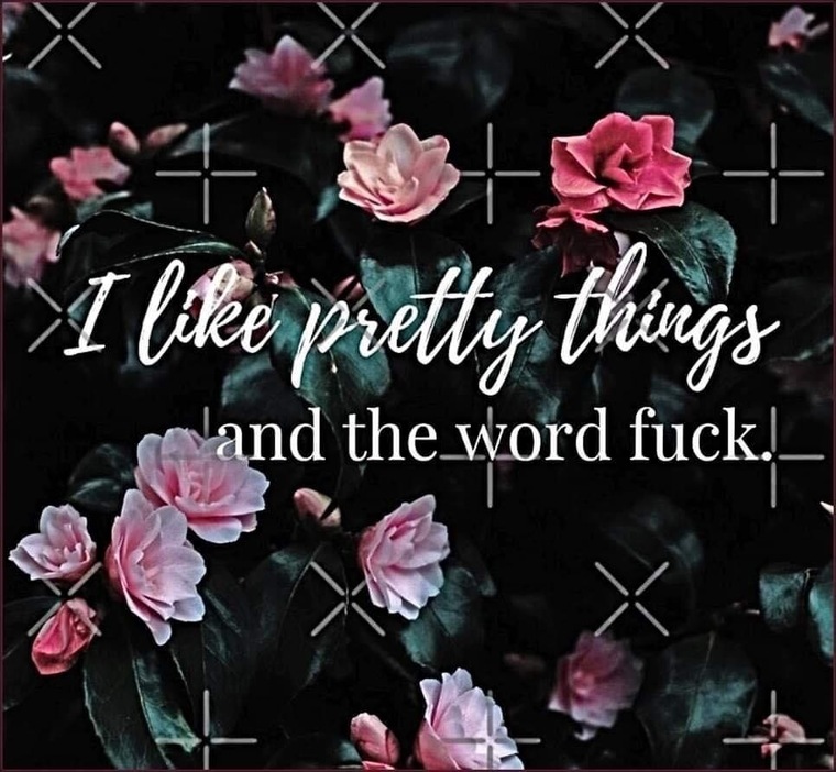 Carly cover image