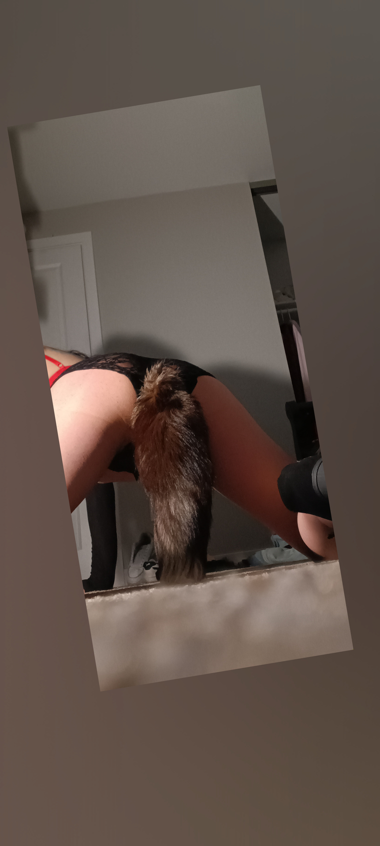Xxbussyxxboi banner image