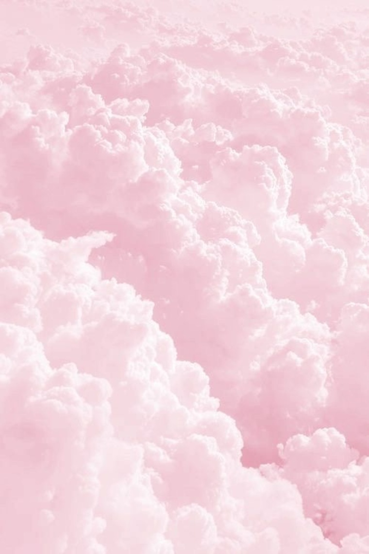 Cecelia Rae banner image