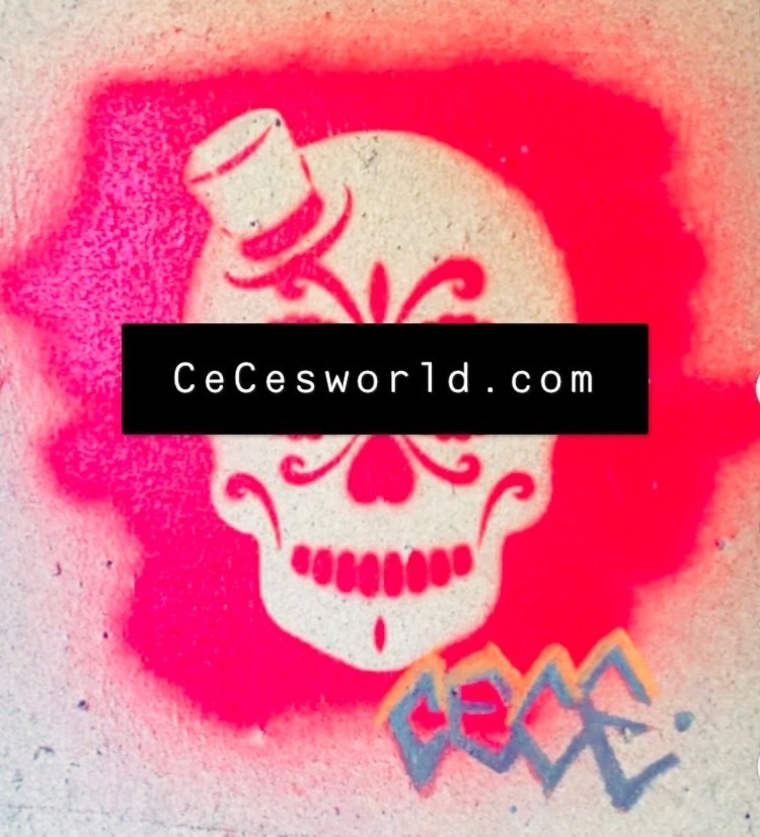 CeCe Scottπ banner image