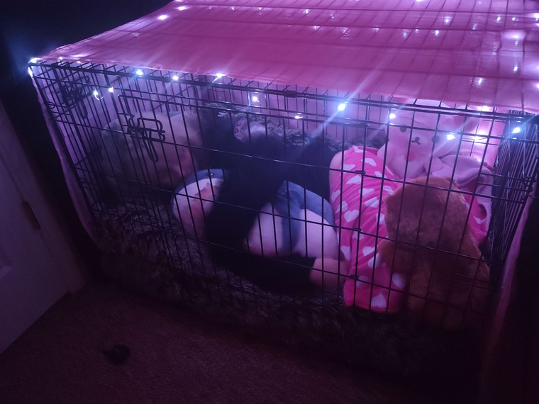 Lexi Celeste cover image