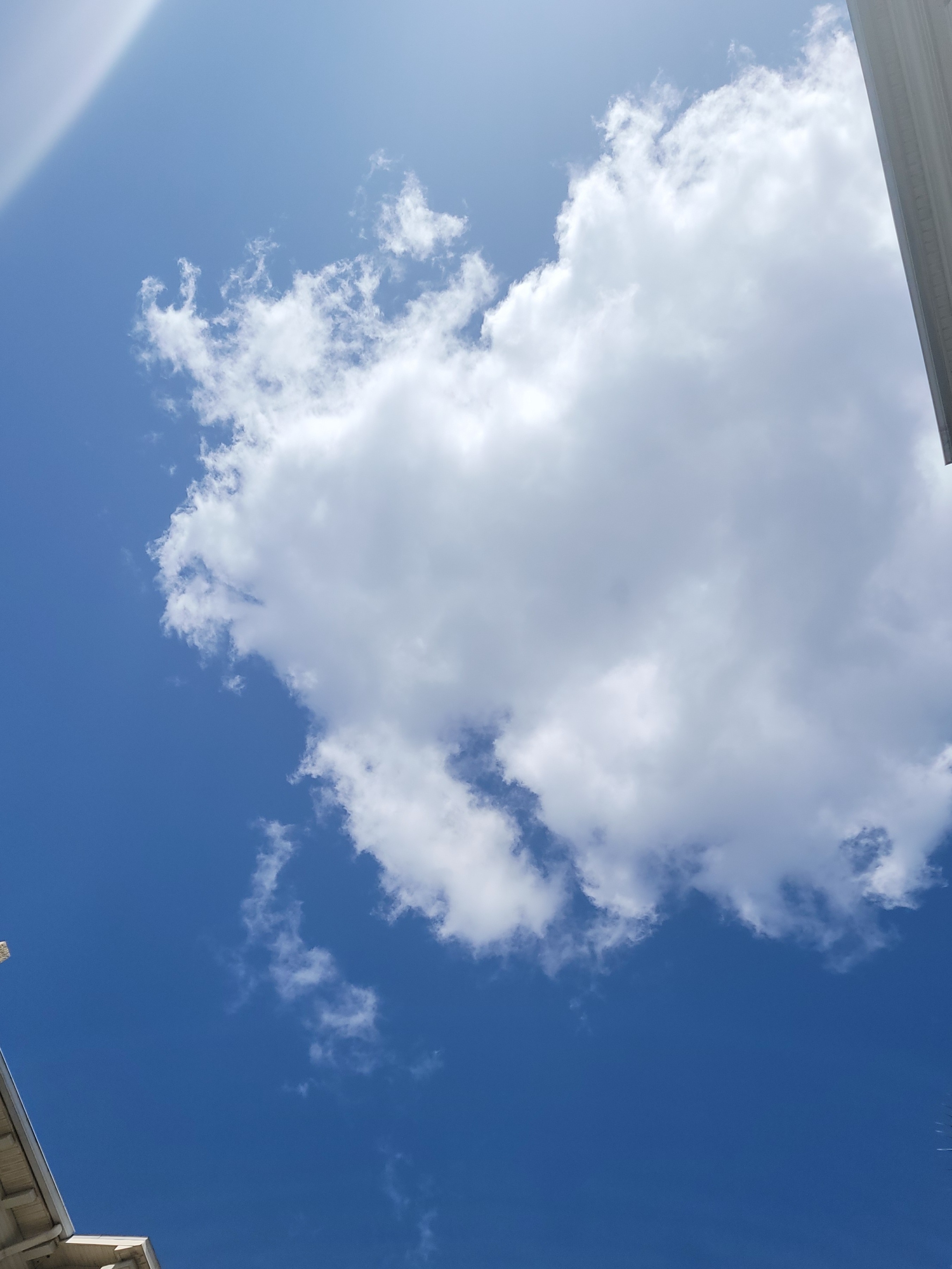 Cellulyte banner image