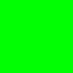 ceoforeverhung avatar