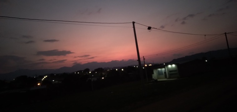 Cerdito banner image