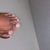 ChocolatePiggies avatar
