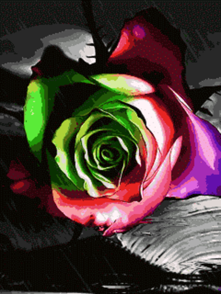 Chameleon cover image