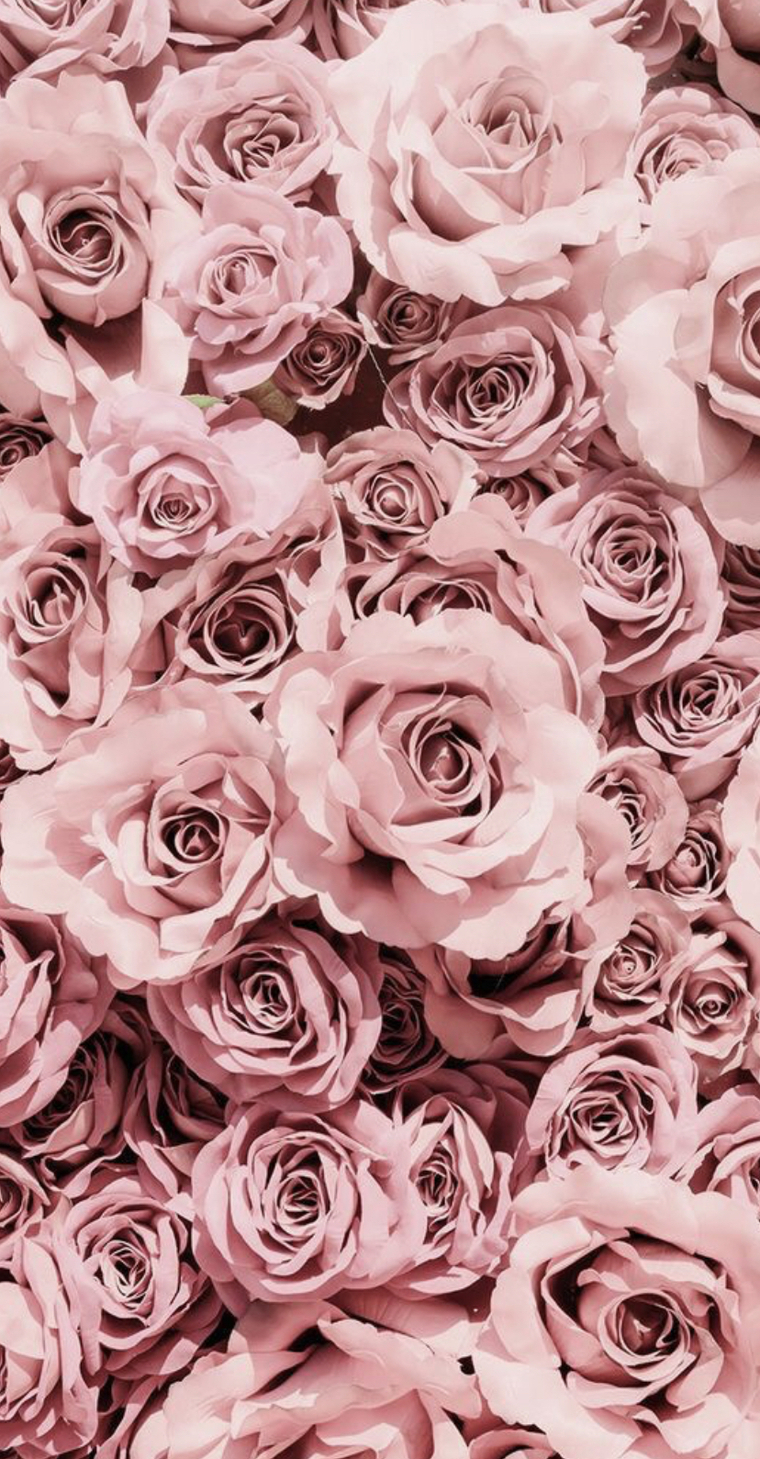 Chanel Dior cover image
