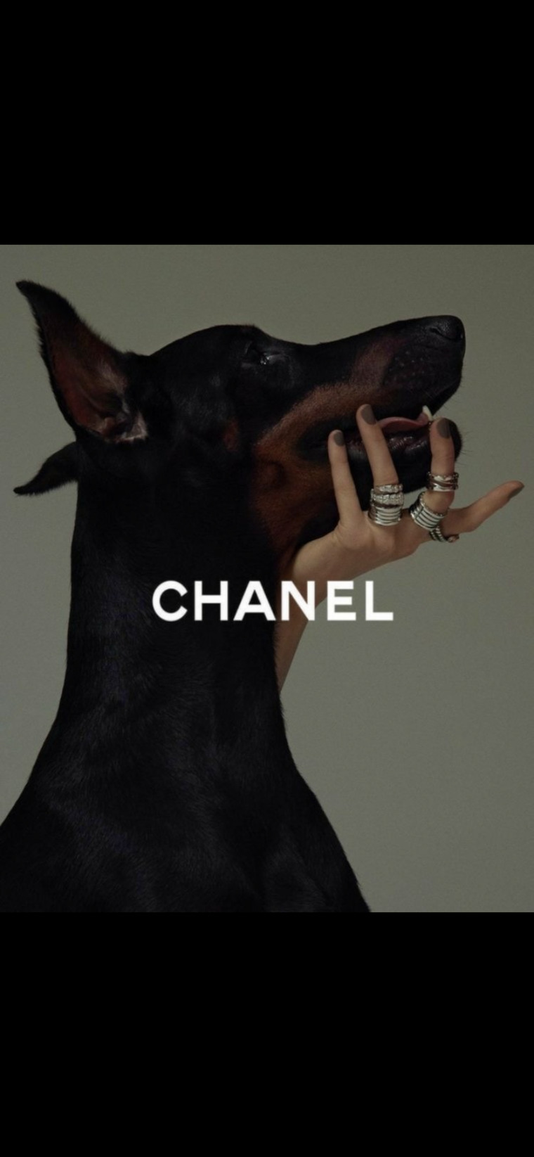 HousewifeChanel cover image