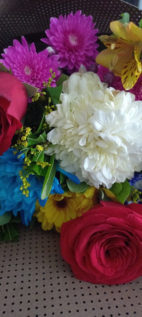 Triflores cover image
