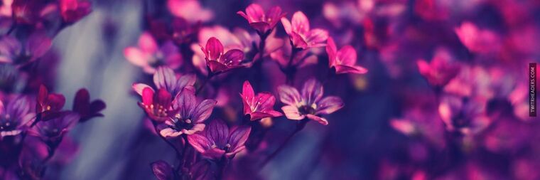 Charlee cover image