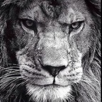 Charles Sherman Photography avatar