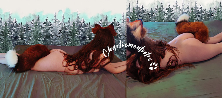 Charliementvotre cover image
