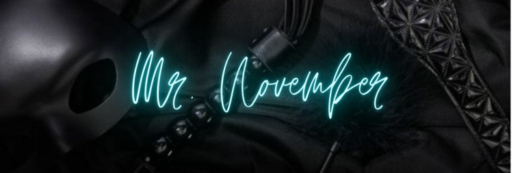 Mr. November cover image