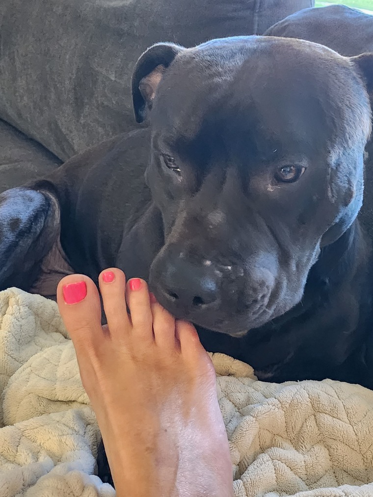 Charmingfeet banner image