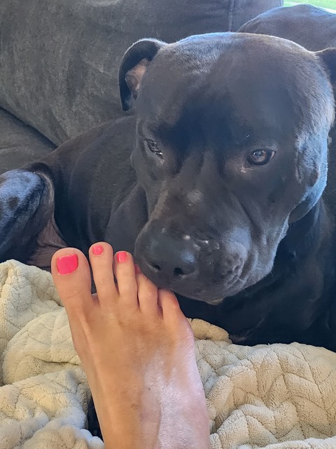 Charmingfeet cover image