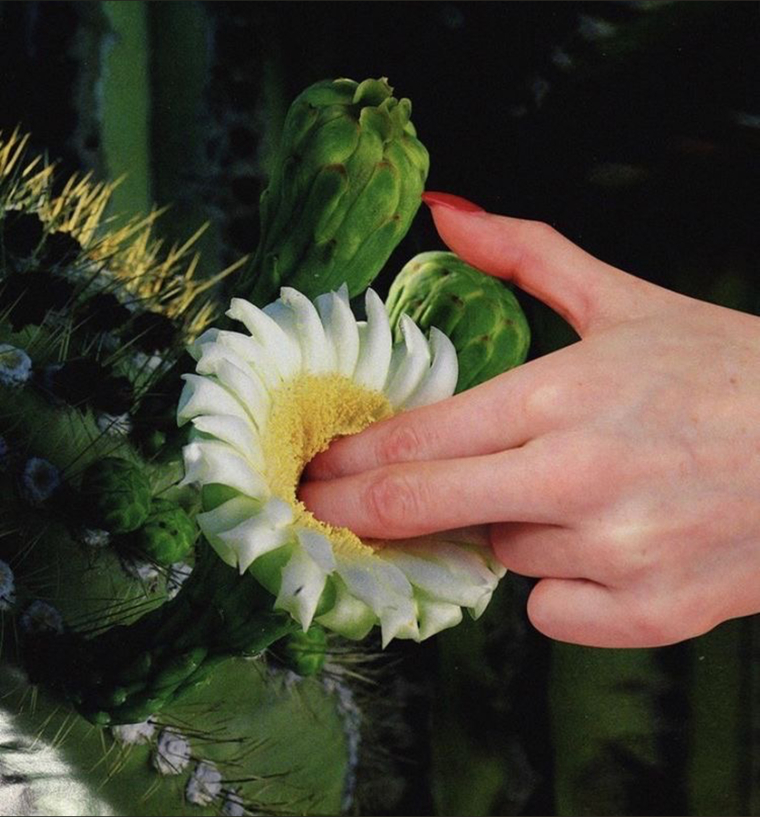 Chary Sermon cover image