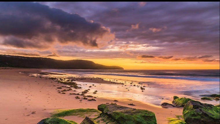 Andie cover image