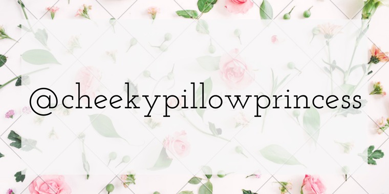 cheekypillowprincess banner image