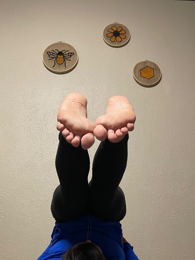 Cheesy cover image