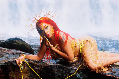 Cheetah The Sexy Dominatrix cover image