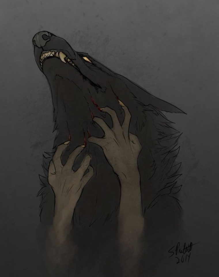 Luna cover image