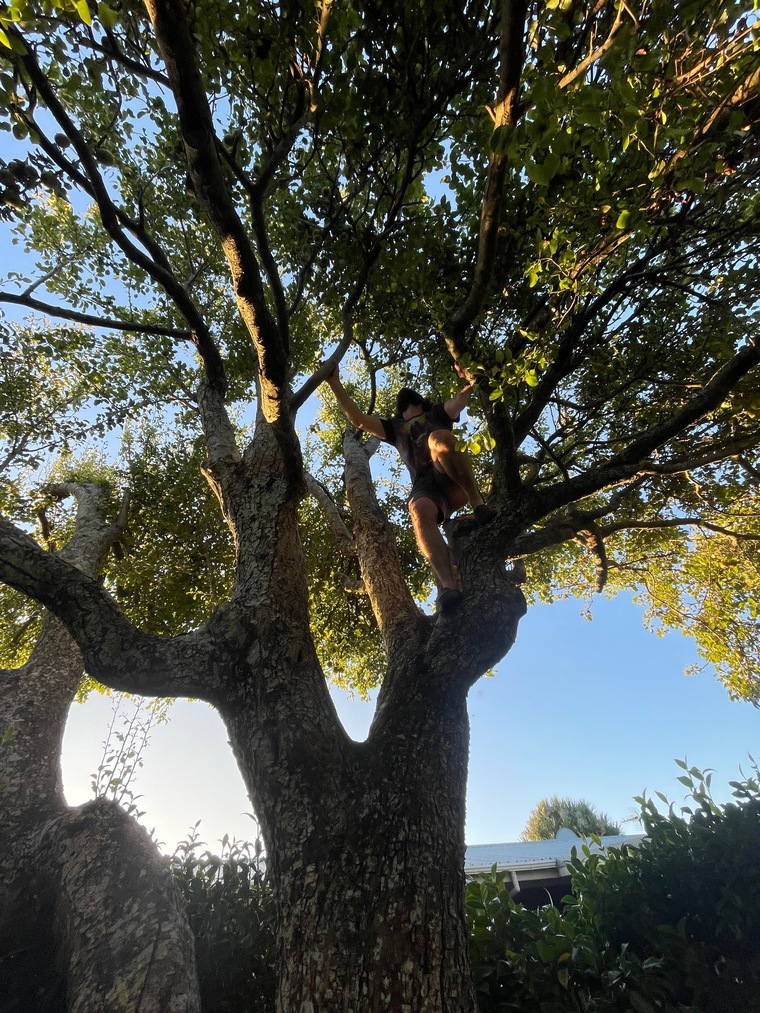 Sam banner image