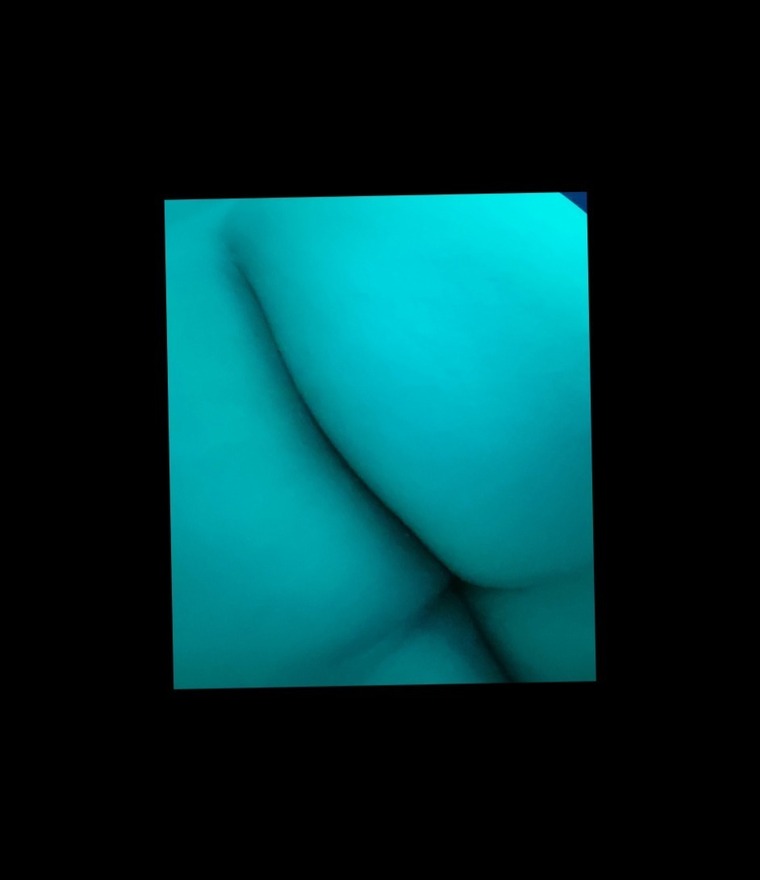 Chela cover image