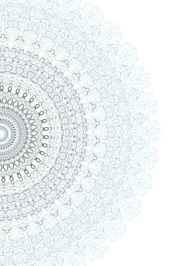 chelsie hart banner image
