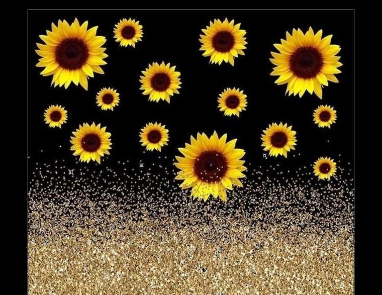 Chels cover image