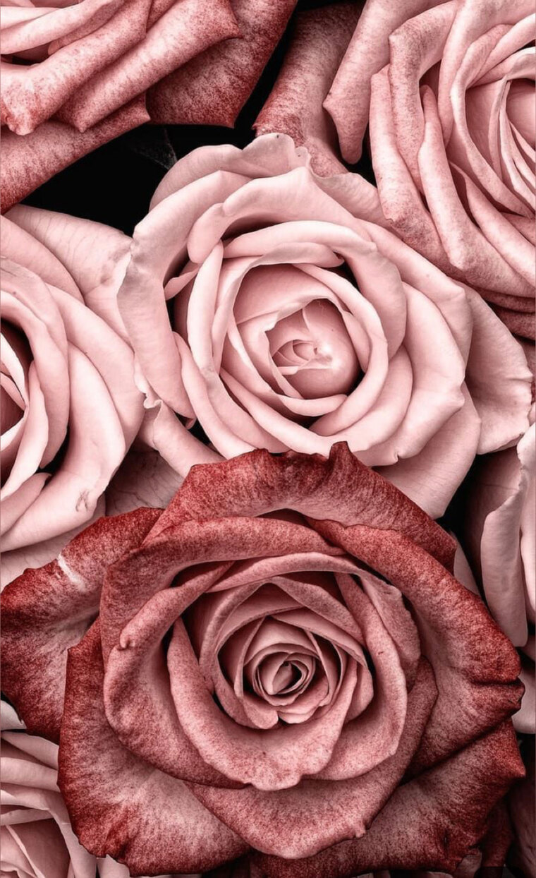 Cherish banner image